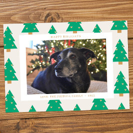 Pine Trees Holiday Photo Card Julkort