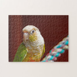 Pineapple Conure Jigszle Puzzle Pussel