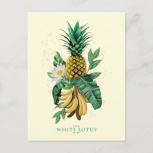 Pineapple Suite på The White Lotus Vykort