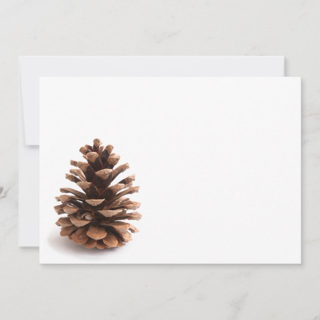 Pinecone (Framsida)