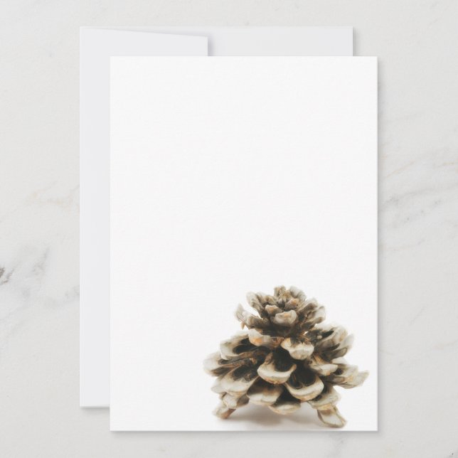 Pinecone (Framsida)