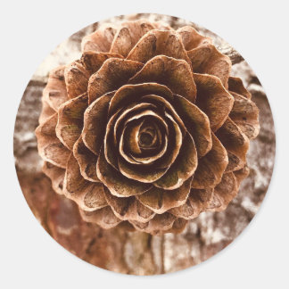 Pinecone Autumn Stickers Runt Klistermärke