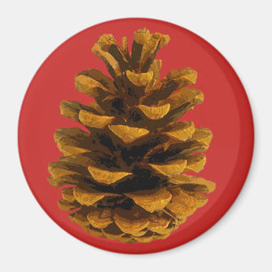 Pinecone rustic nature brunred fall magnet