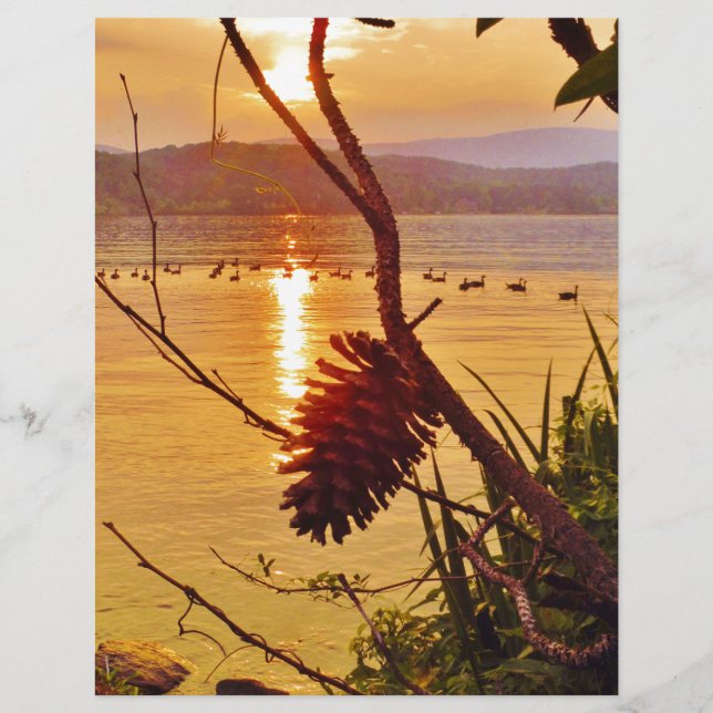 Pinecone Sjö sunset (Framsida)