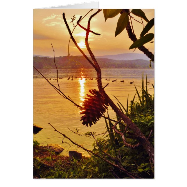 Pinecone Sjö sunset Hälsningskort (Framsidan)