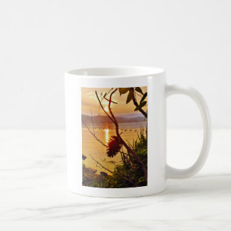 Pinecone Sjö sunset Kaffemugg