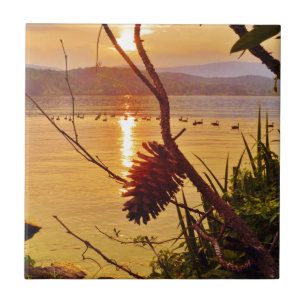 Pinecone Sjö sunset Kakelplatta