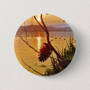 Pinecone Sjö sunset Knapp