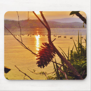 Pinecone Sjö sunset Musmatta