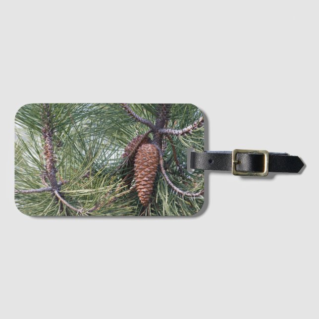 Pinecone vid gräs träd bagagebricka (Framsida horisontal)
