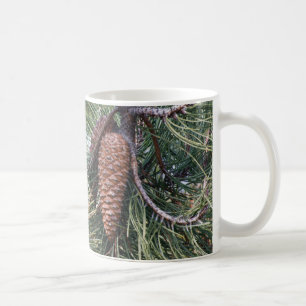 Pinecone vid gräs träd kaffemugg