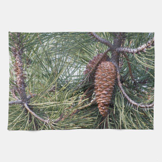 Pinecone vid gräs träd kökshandduk (Horisontell)