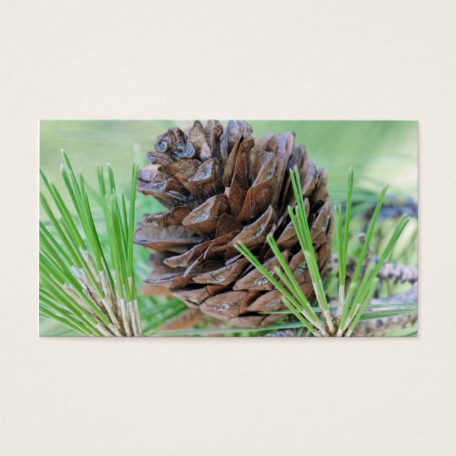 Pinecone Visitkort (Framsidan)