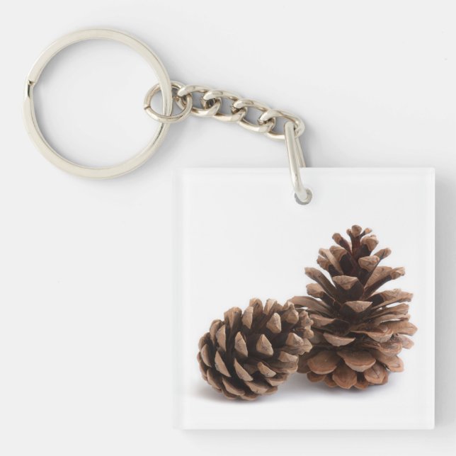Pinecones (Framsidan)