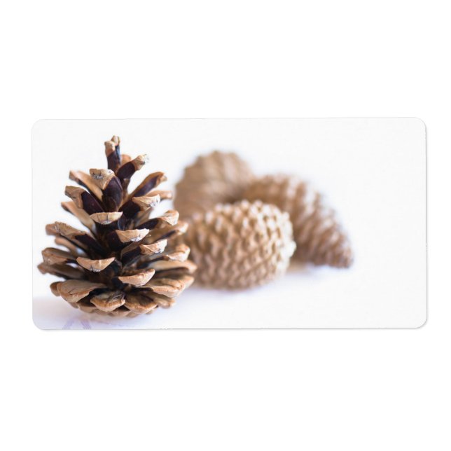 Pinecones Fraktsedel (Framsidan)