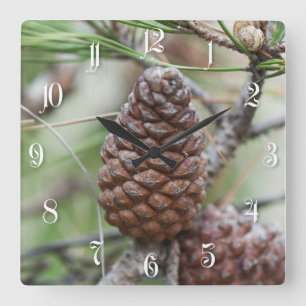 Pinecones Fyrkantig Klocka