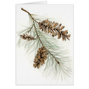 Pinecones Hälsningskort