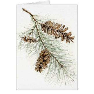 Pinecones Hälsningskort