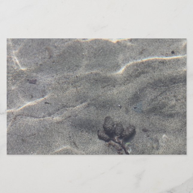 Pinecones i Vatten (Framsida)