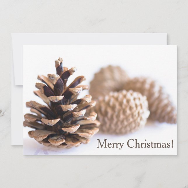 Pinecones Julkort (Framsida)