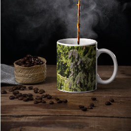 Pinecones Kaffemugg