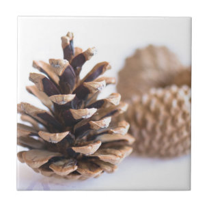 Pinecones Kakelplatta