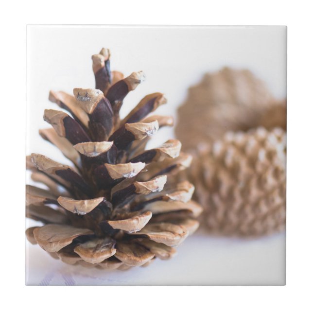Pinecones Kakelplatta (Framsidan)
