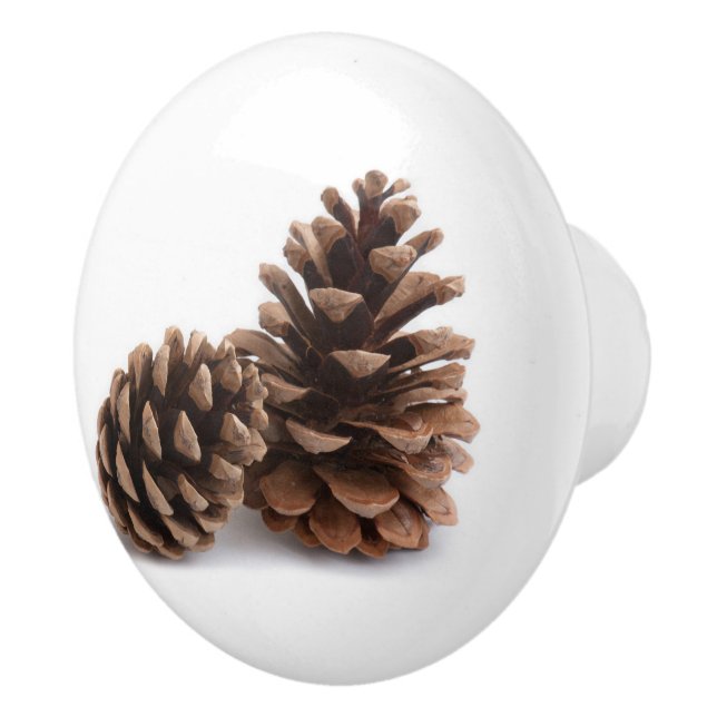 Pinecones Knopp (Höger)
