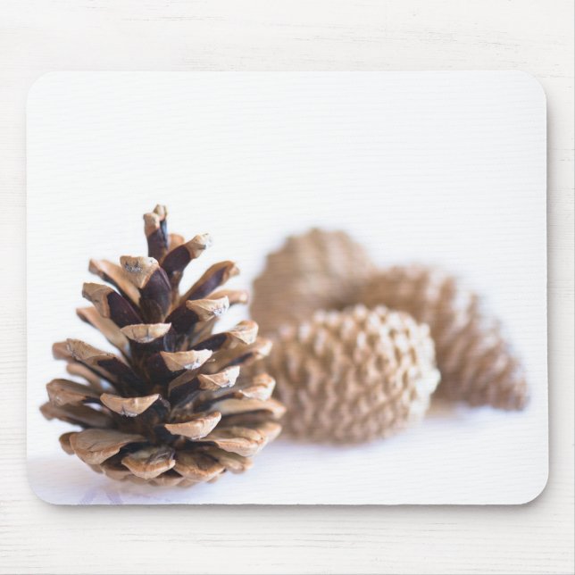 Pinecones Musmatta (Framsidan)