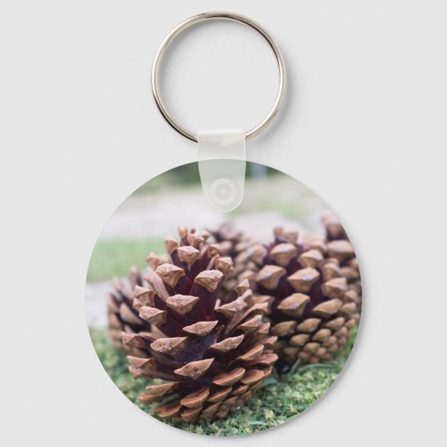 Pinecones Nyckelring (Framsida)