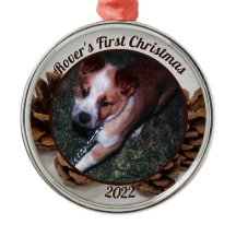 Pinecones Pets första julfoto med år