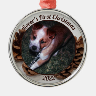 Pinecones Pets första julfoto med år Julgransprydnad Metall