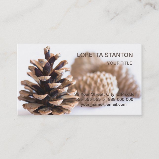 Pinecones Visitkort (Framsida)