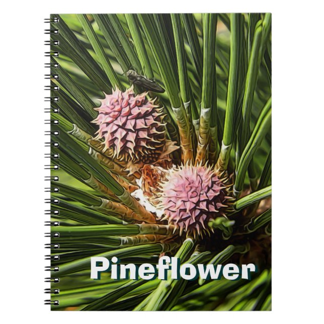 Pineflower Anteckningsbok Med Spiral (Framsidan)