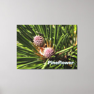 Pineflower Canvastryck