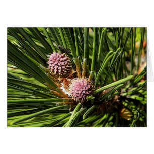 Pineflower Hälsningskort