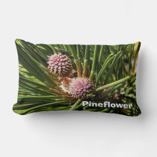 Pineflower Lumbarkudde