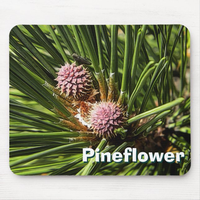 Pineflower Musmatta (Framsidan)