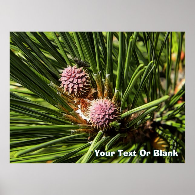 Pineflower Poster (Framsidan)