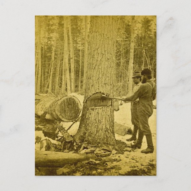 Pineries of Michigan Goodridge Brothers Saginaw MI Vykort (Framsida)