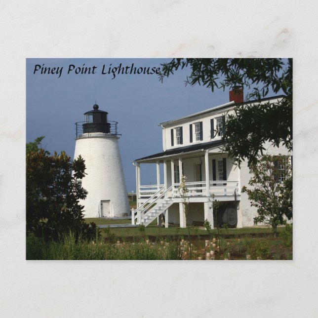 Piney Point Lighthouse Vykort (Framsida)