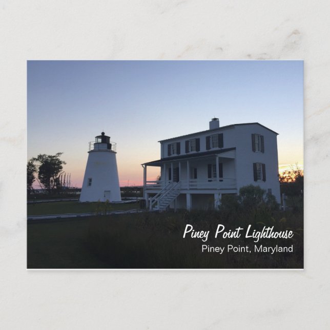 Piney Point Lighthouse-vykort Vykort (Framsida)