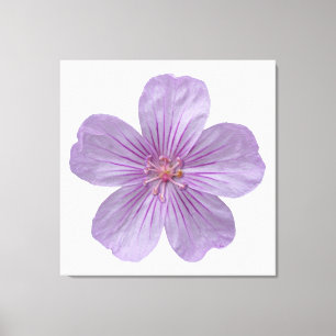 Pineywood Geranium #1 Canvastryck