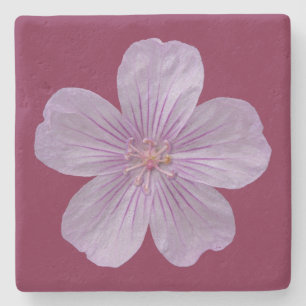 Pineywood Geranium #1 Stenunderlägg