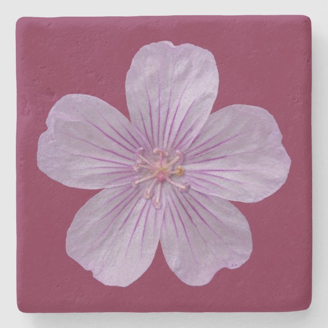 Pineywood Geranium #1 Stenunderlägg (Framsidan)