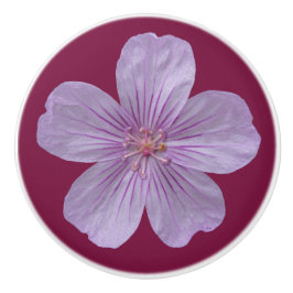 Pineywoods Geranium #1 Knopp
