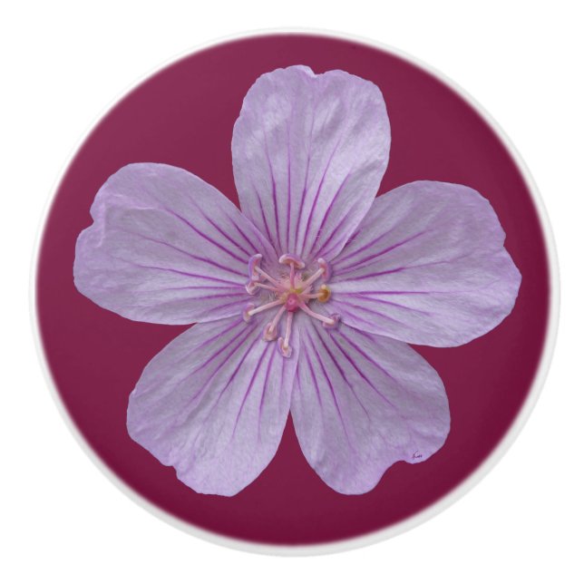 Pineywoods Geranium #1 Knopp (Framsidan)