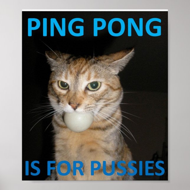 Ping Pong är för pesier Poster (Framsidan)