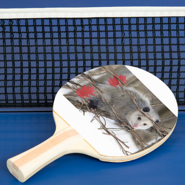 Ping Pong Paddle Opossum Natature Pingisracket (Insitu)