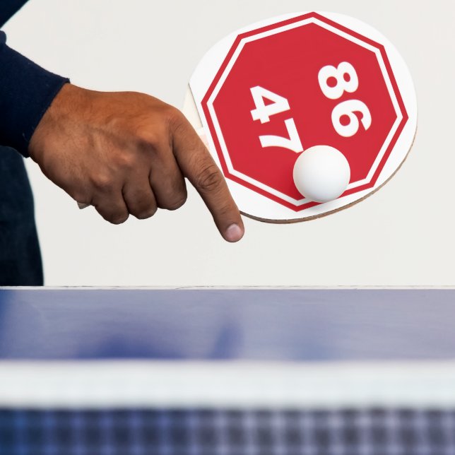 Ping Pong Paddle Pingisracket (Insitu)